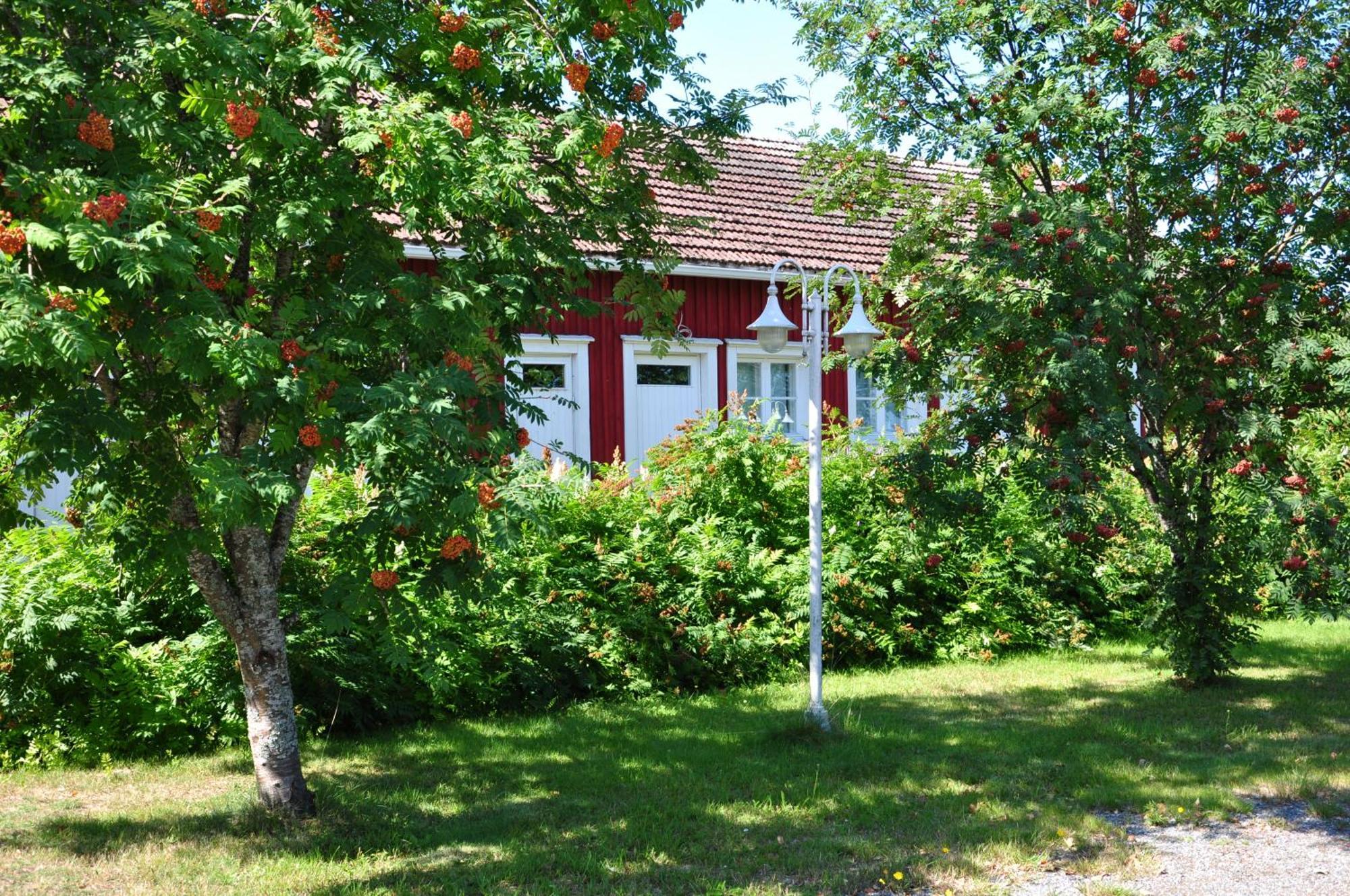 Opintola Bed & Breakfast Norinkylä Exterior photo