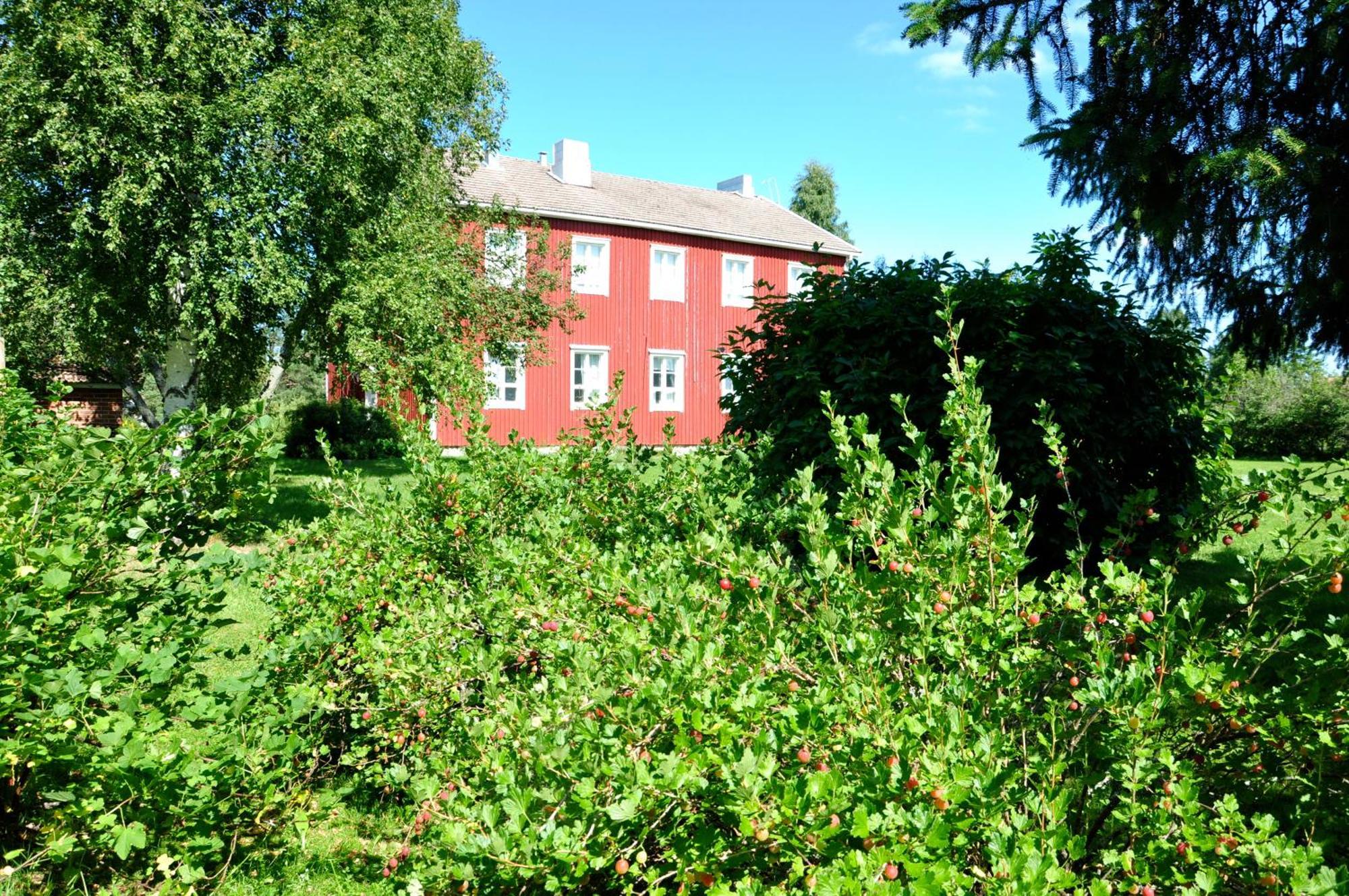 Opintola Bed & Breakfast Norinkylä Exterior photo